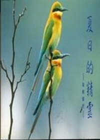 夏日的精靈-栗喉蜂虎簡冊