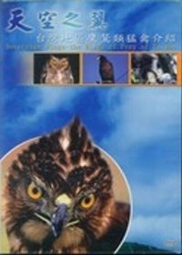 天空之翼-台灣地區鷹鷲類猛禽介紹(DVD)