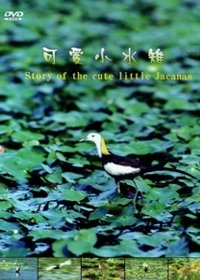可愛小水雉(中文版)(DVD)