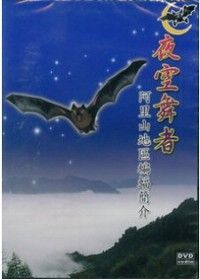 夜空舞者-阿里山地區蝙蝠簡介(DVD)