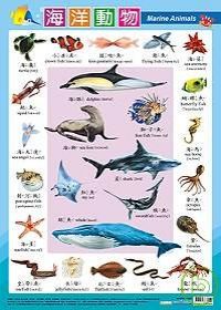 海洋動物