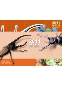 甲蟲月曆(2011年)