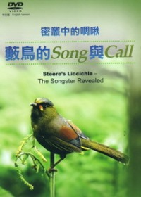 密叢中的啁啾：藪鳥的Song與Call