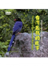 台灣藍鵲的故事(中英文)