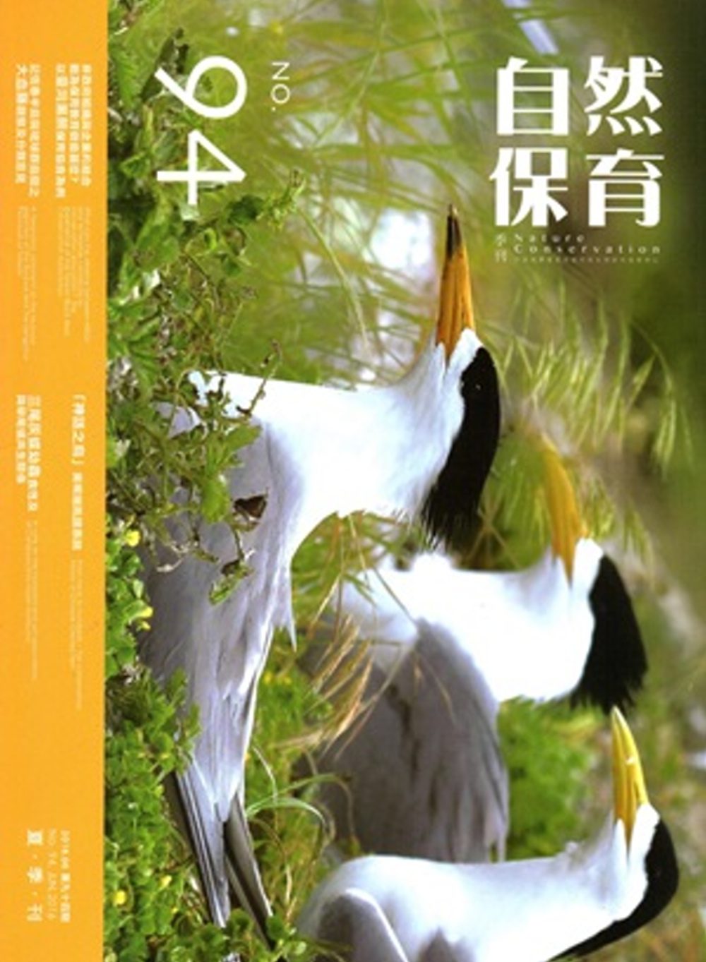自然保育季刊-94(105/06)