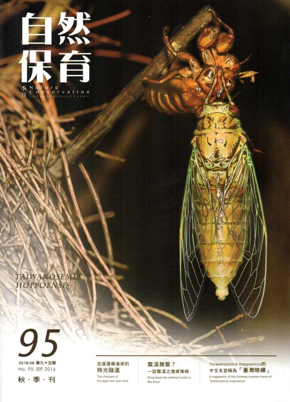 自然保育季刊-95(105/09)