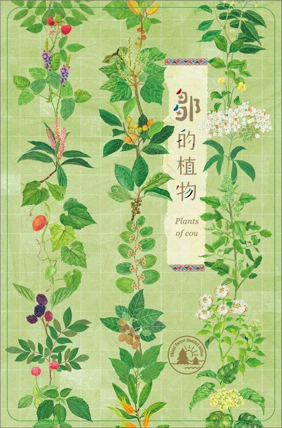 鄒的植物-植物撲克牌2.0版