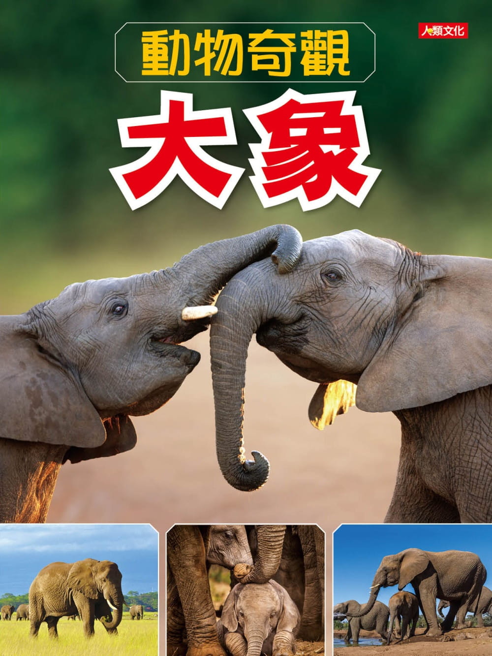 動物奇觀：大象