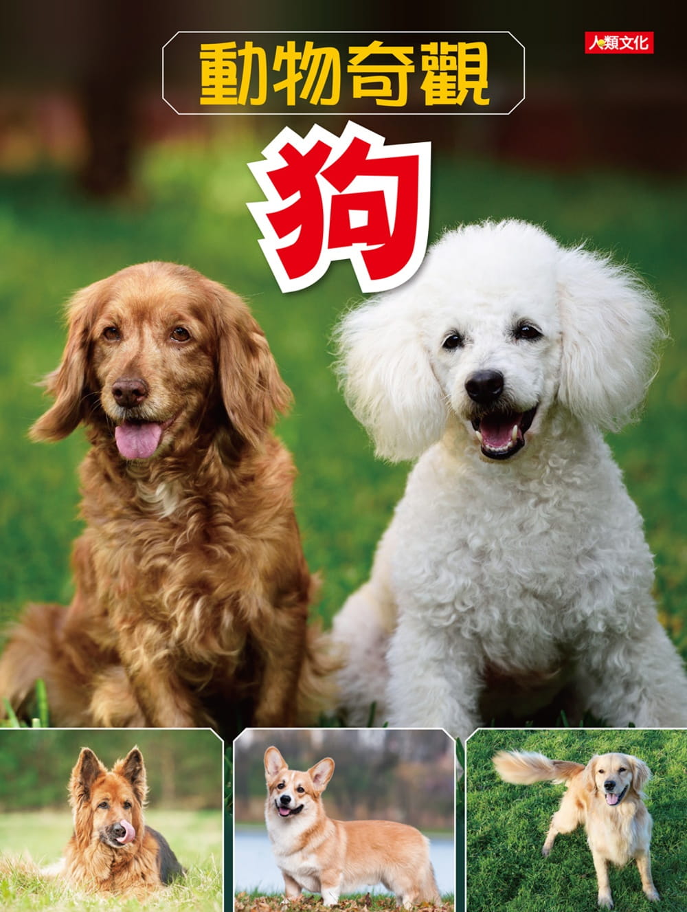 動物奇觀：狗