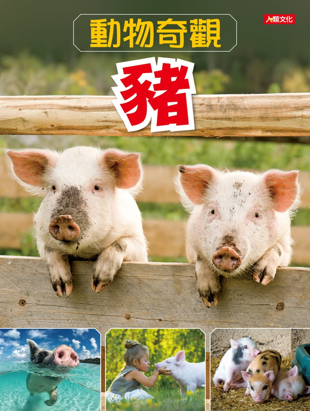動物奇觀：豬