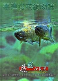 飛越七家灣-臺灣櫻花鉤吻鮭[DVD]