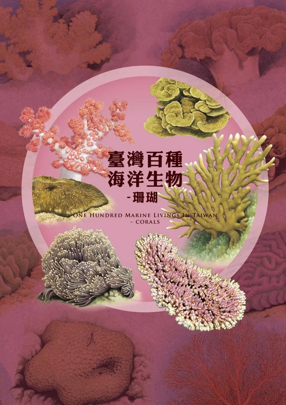 臺灣百種海洋生物：珊瑚