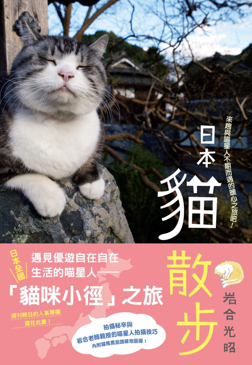 日本貓散步：來趟與喵星人不期而遇的暖心之旅吧！