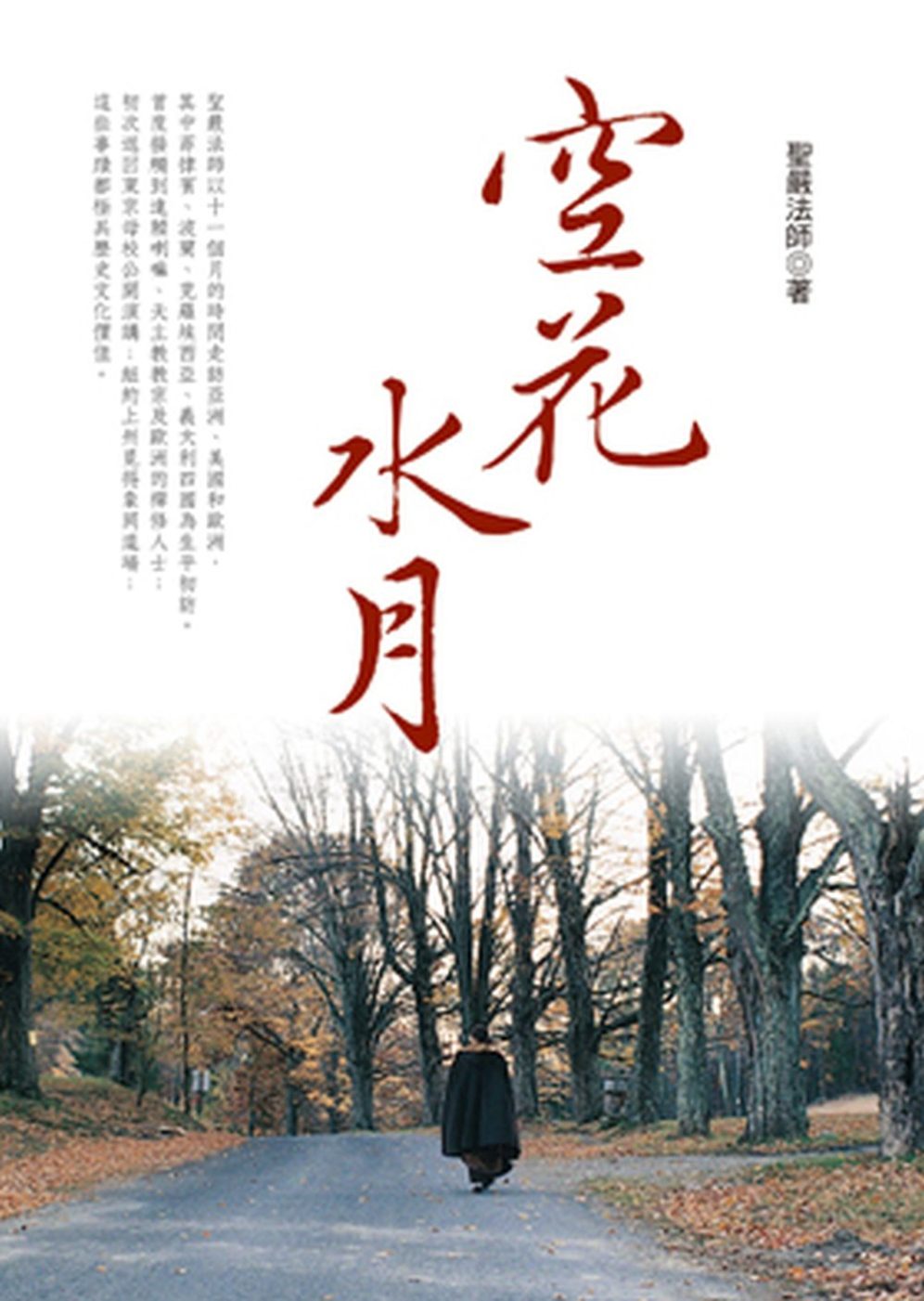 空花水月(新版)