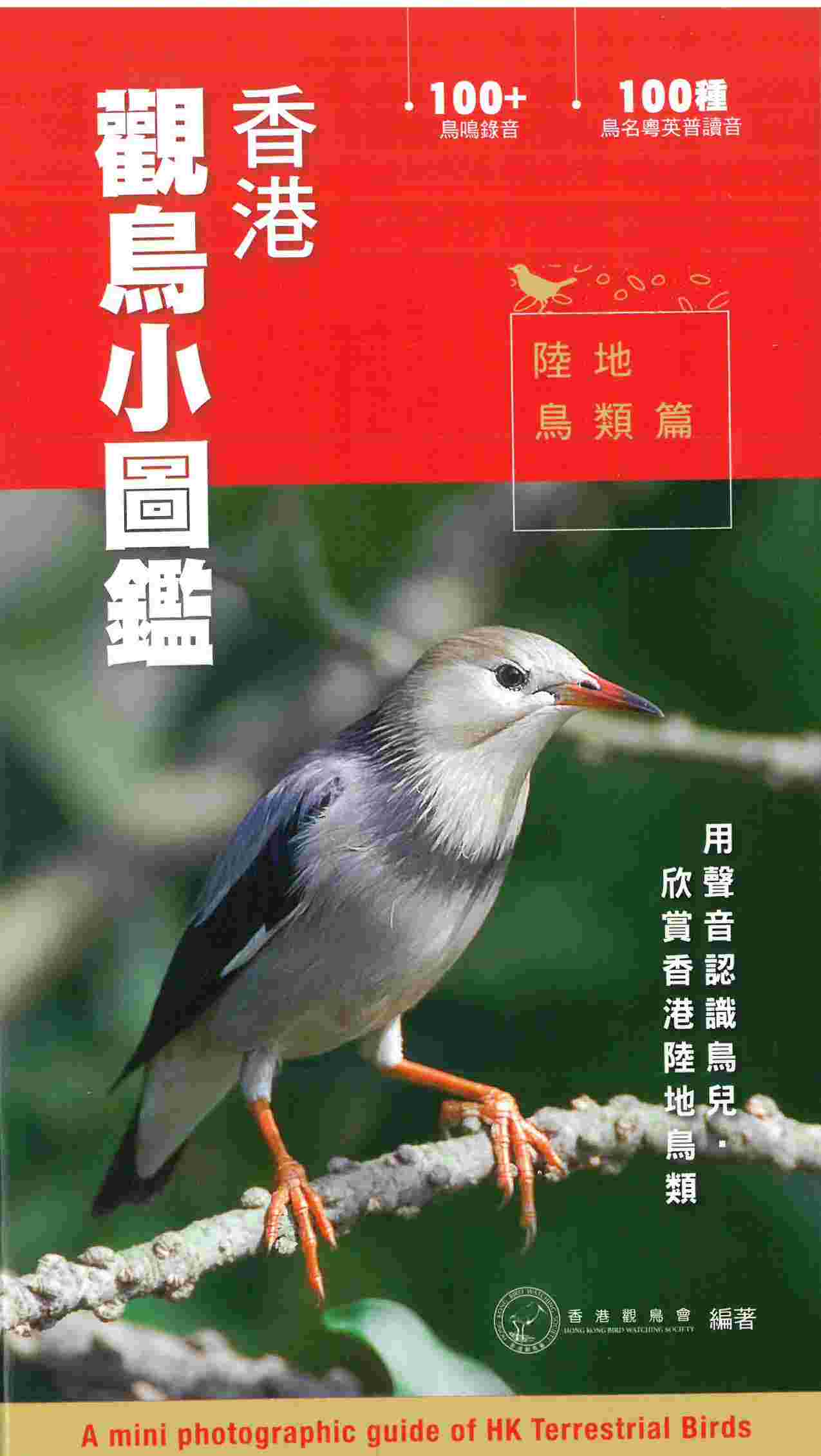 香港觀鳥小圖鑑：陸地鳥類篇