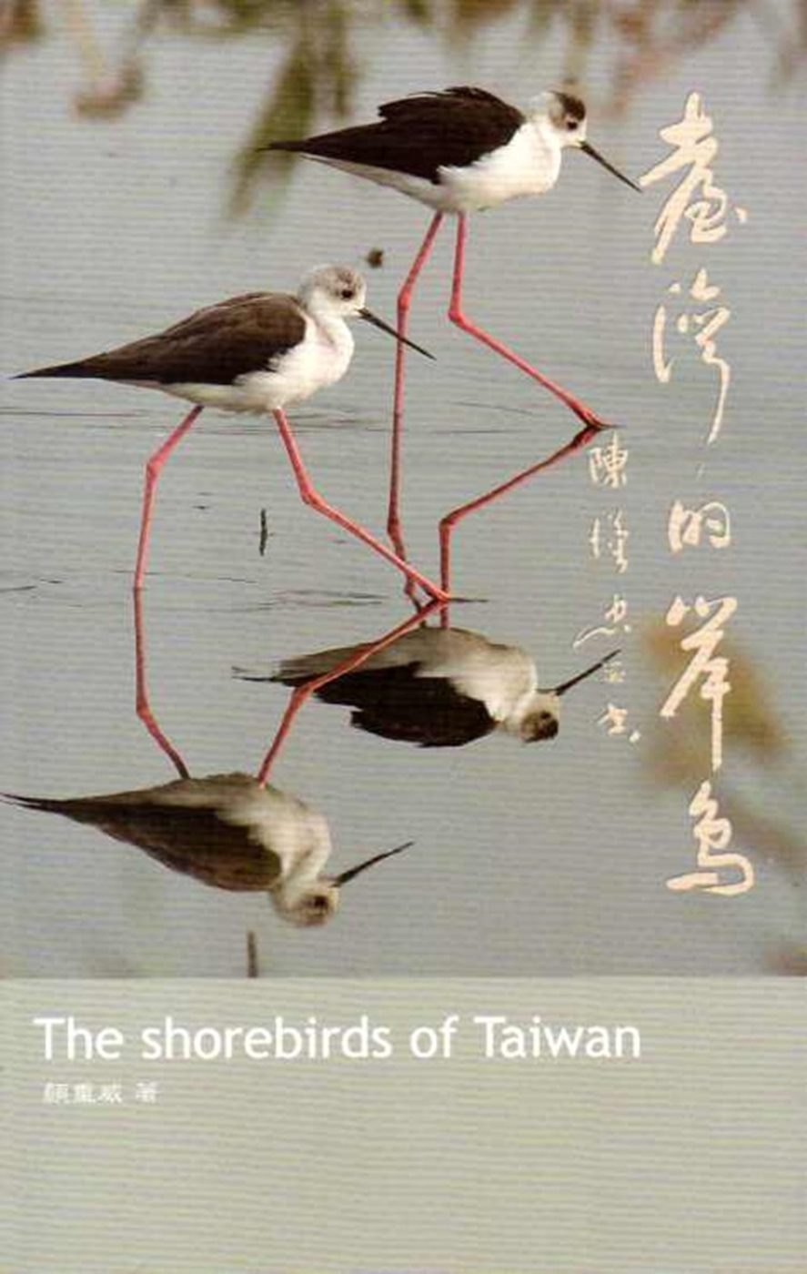 臺灣的岸鳥