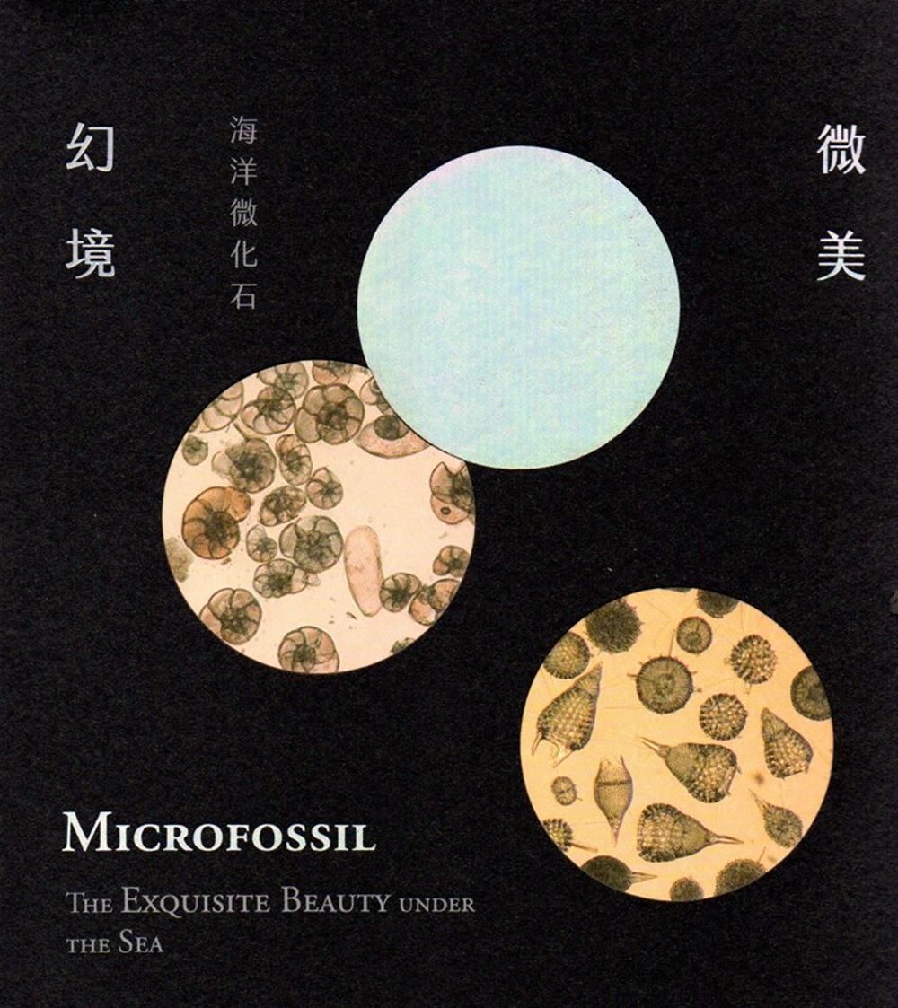 微美幻境：海洋微化石