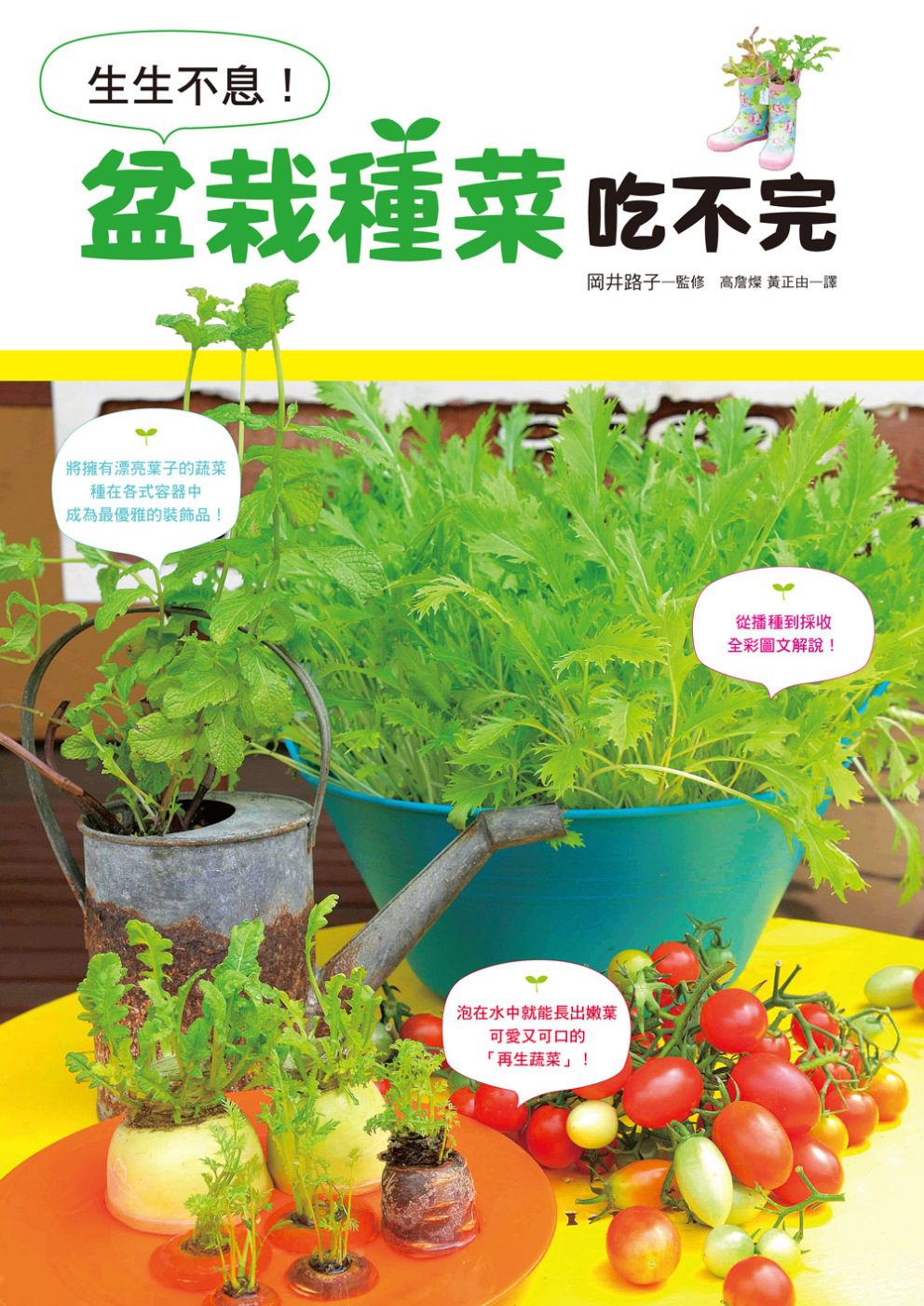 生生不息！盆栽種菜吃不完：親手栽培，品嚐外面買不到的嫩菜葉！