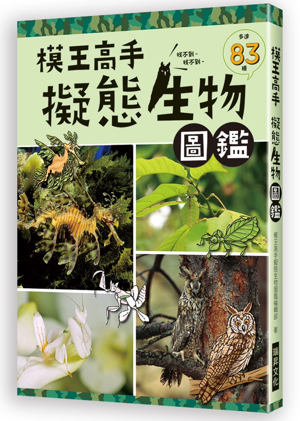 模王高手