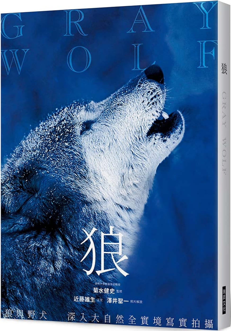狼：狼與野犬