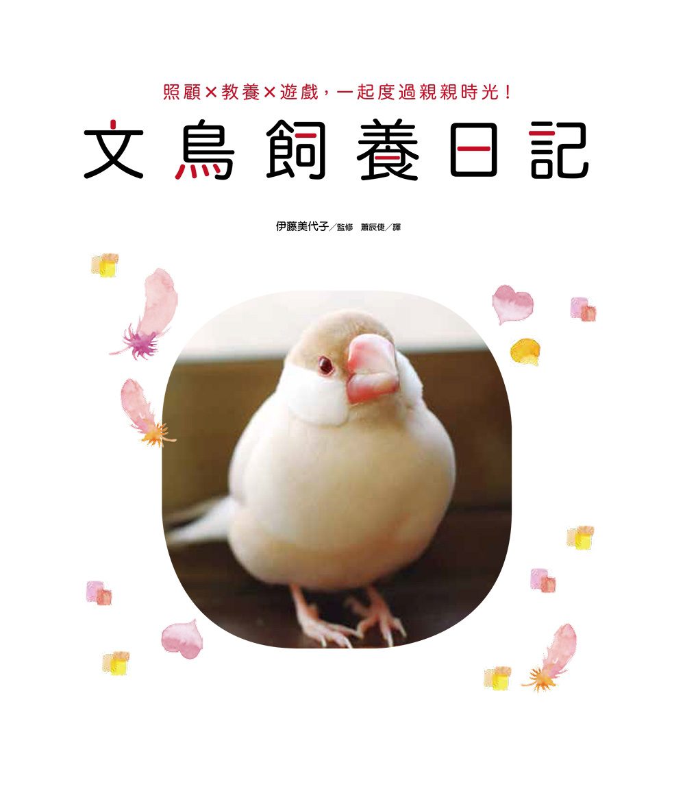 文鳥飼養日記：照顧x教養x遊戲，一起度過親親時光！