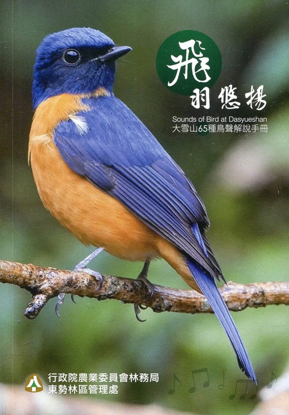 飛羽悠揚∼大雪山65種鳥聲解說手冊