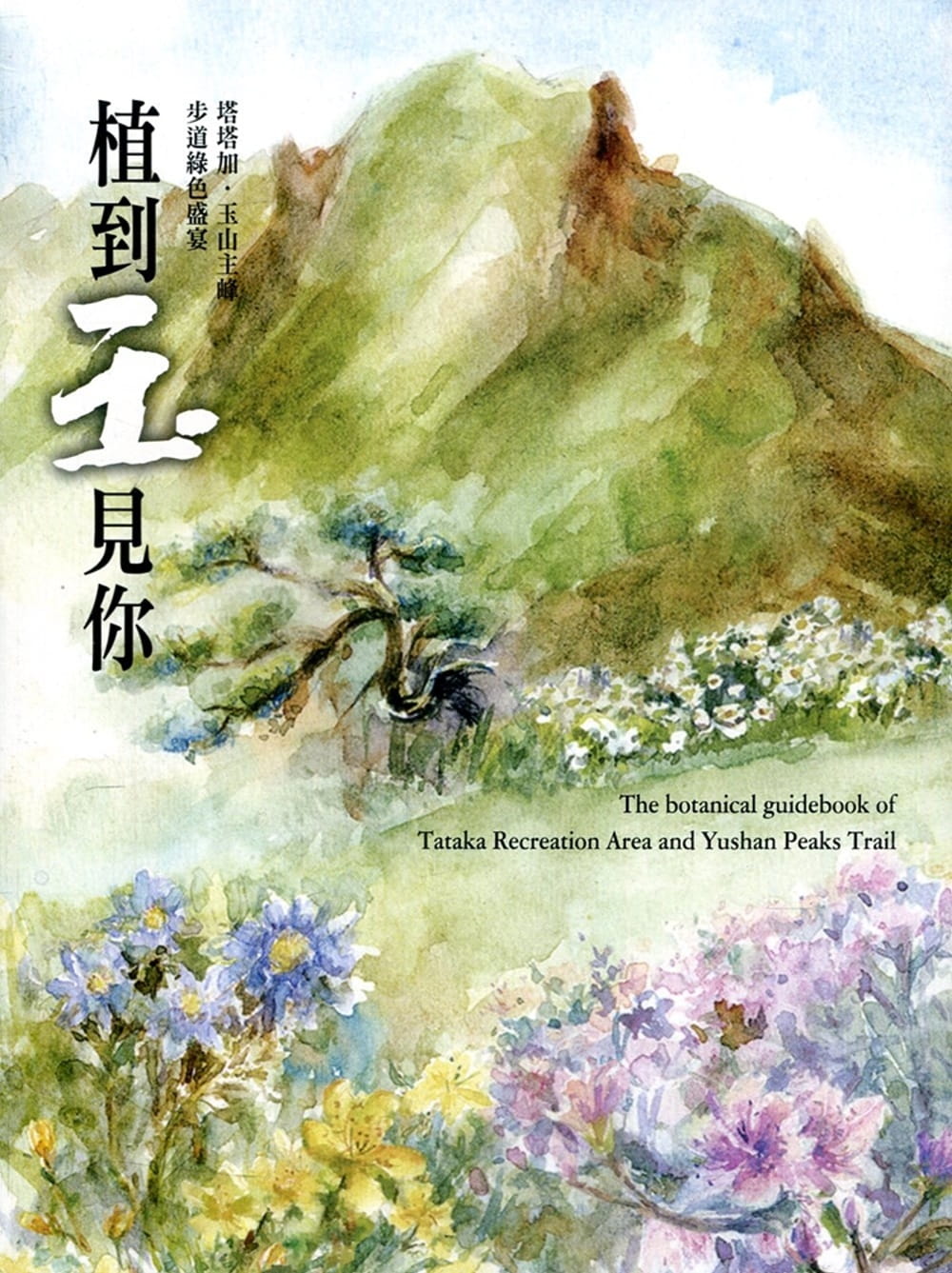 植到玉見你：塔塔加、玉山主峰步道綠色盛宴