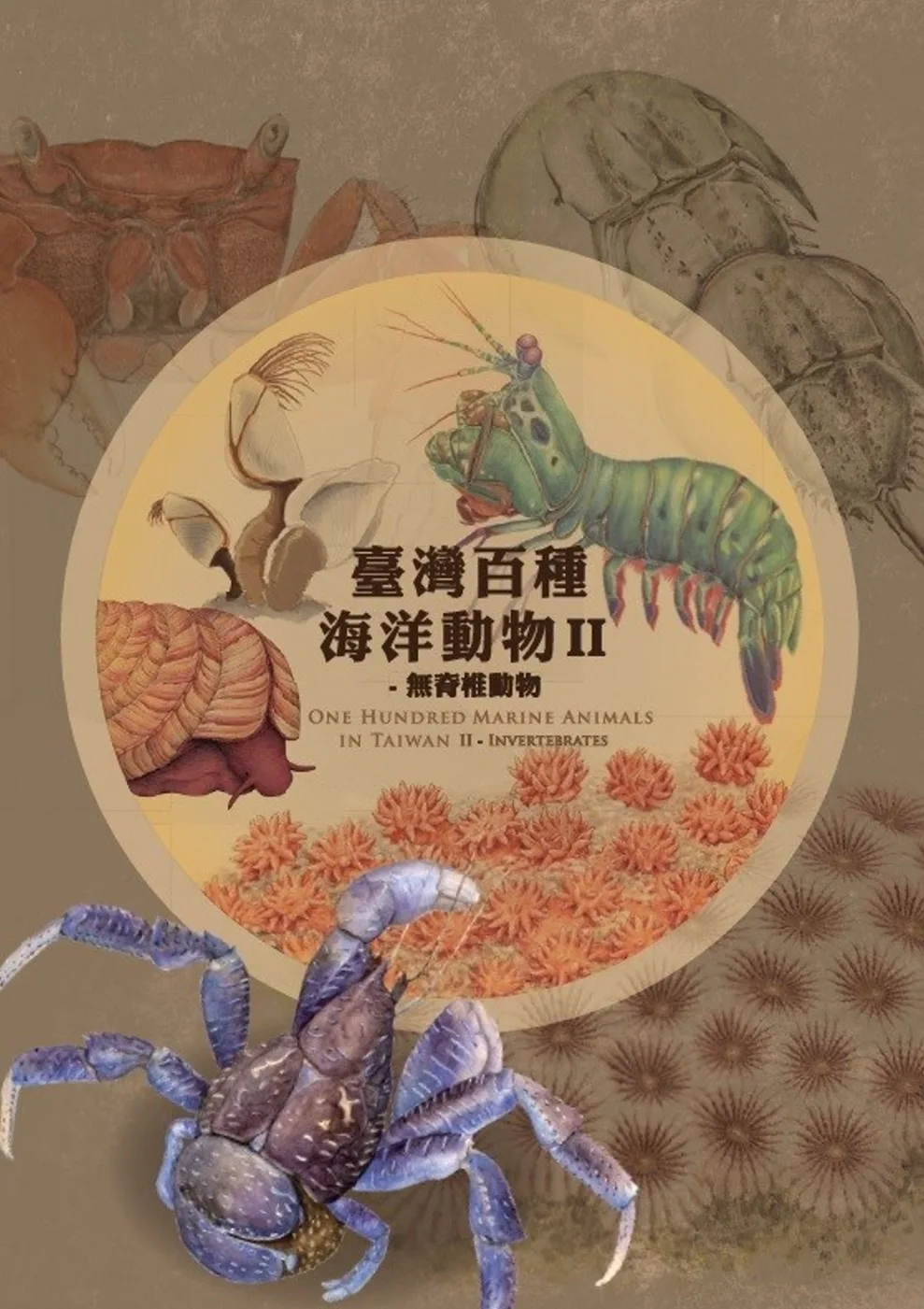 臺灣百種海洋動物II：無脊椎動物