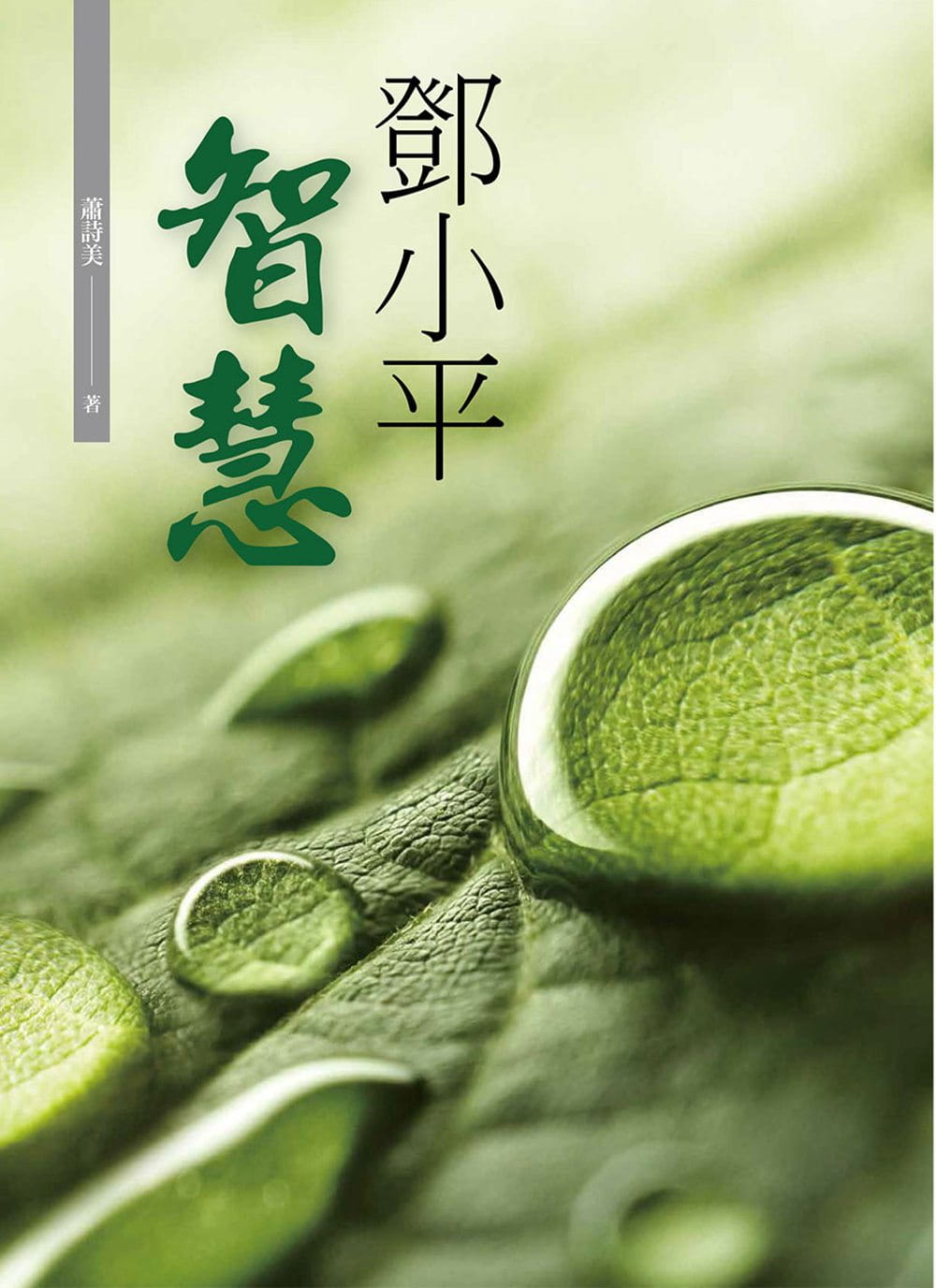 鄧小平智慧