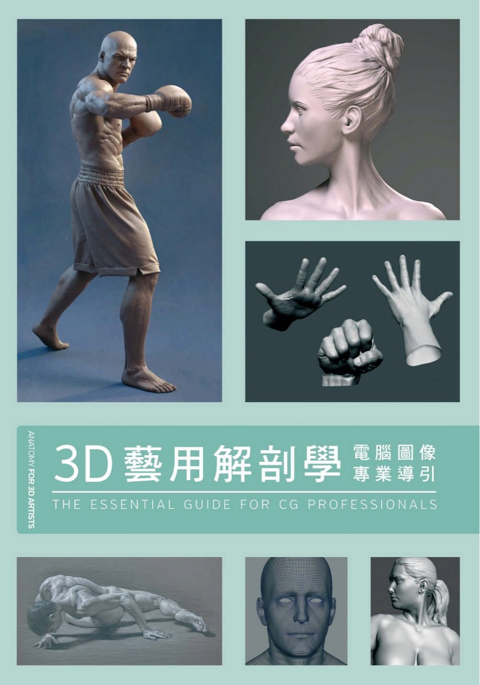 3D藝用解剖學