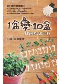 1盆變10盆扦插種植活用百科