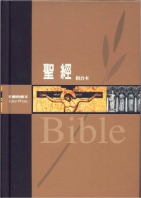 聖經：彩圖典藏本聖經(姆指索)