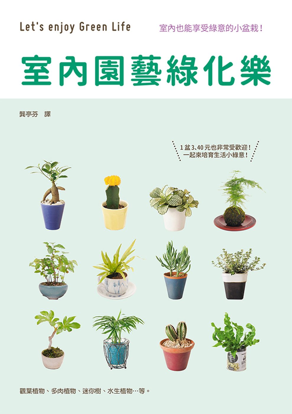 室內園藝綠化樂：五大類型室內植栽的管理小百科