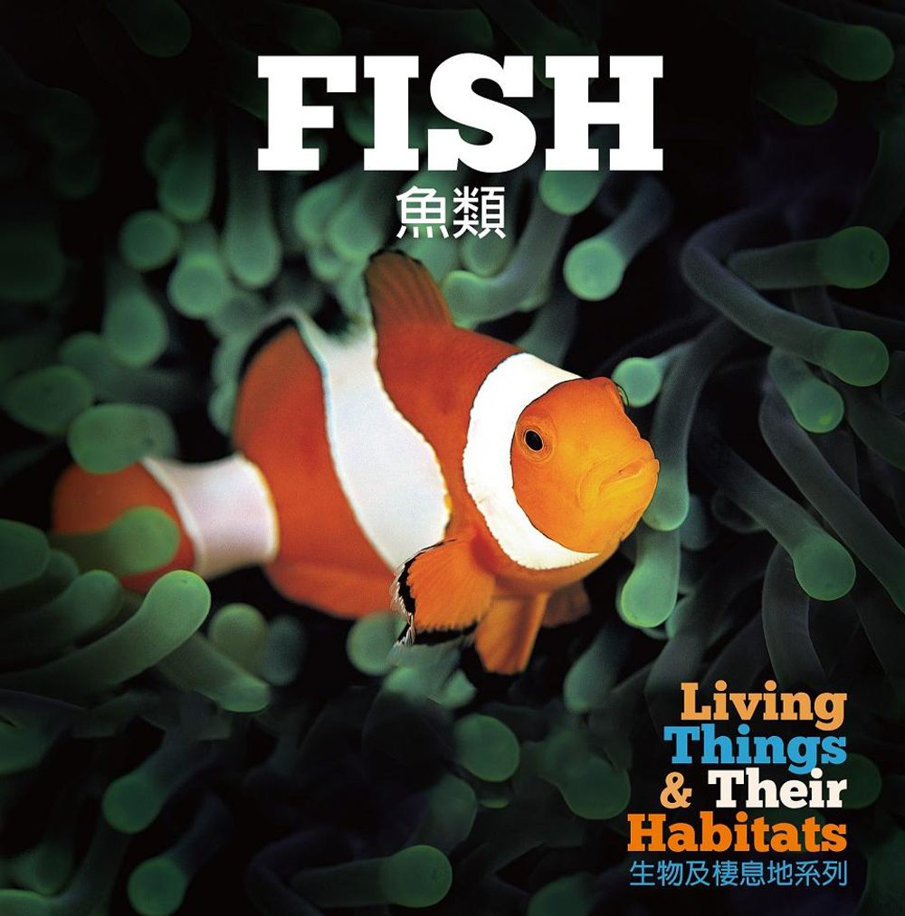 【幼兒科普】生物及棲息地系列：魚類