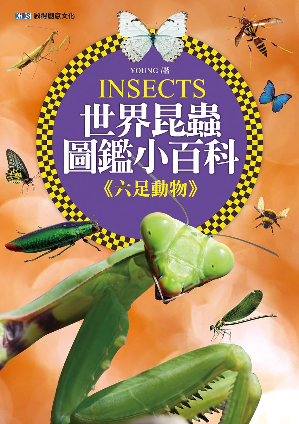 世界昆蟲圖鑑小百科《六足動物》
