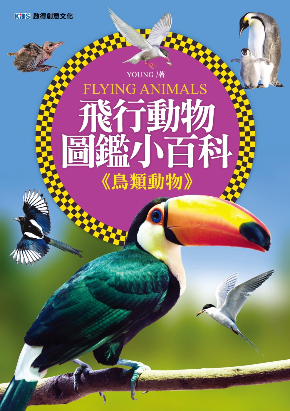 飛行動物圖鑑小百科《鳥類動物》