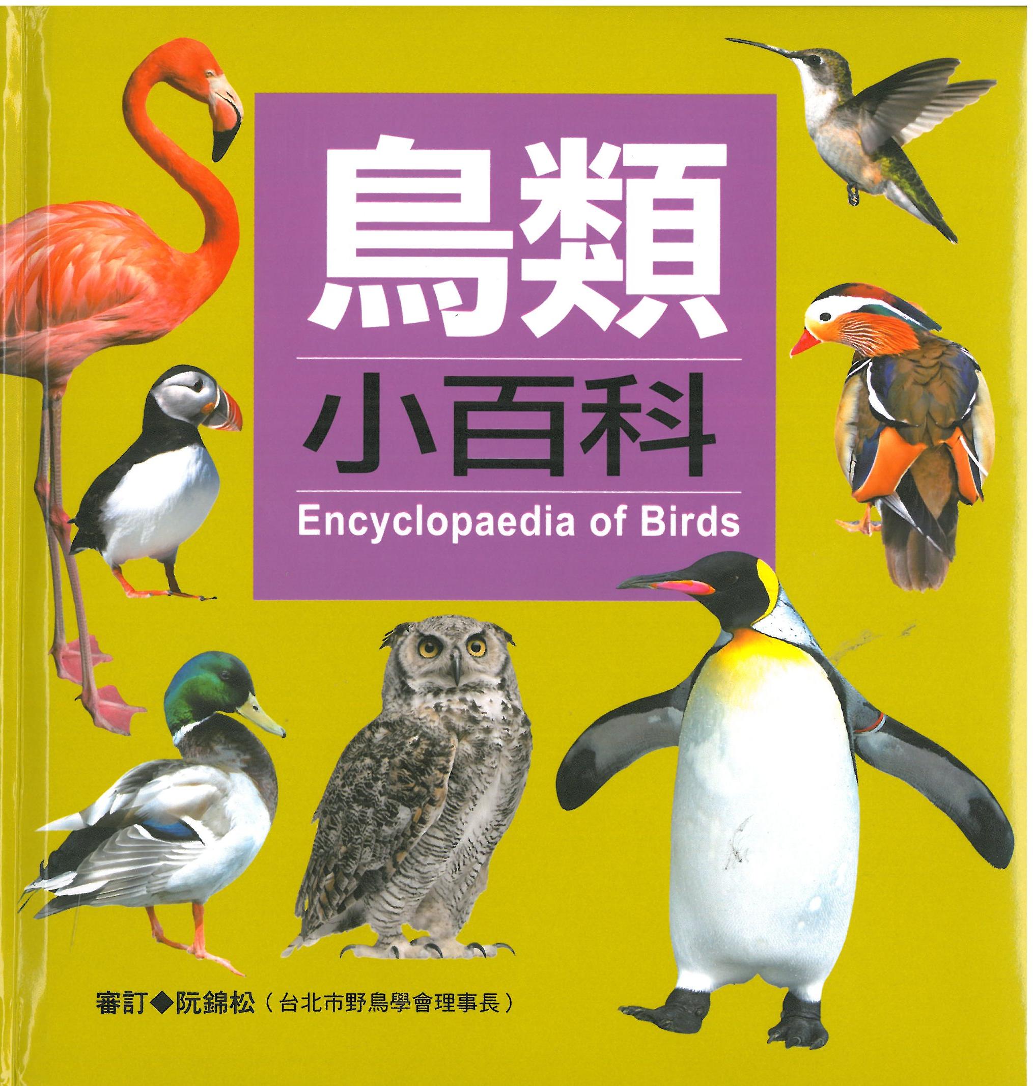 鳥類小百科