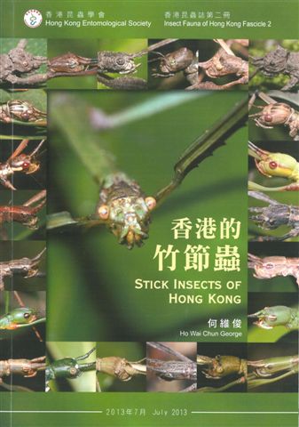 香港的竹節蟲