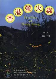 香港螢火蟲
