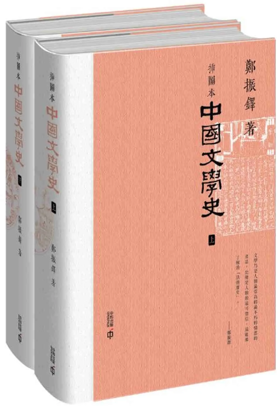 插圖本中國文學史（上下冊）